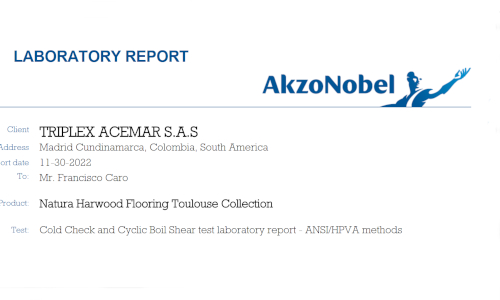 Laboratory Report Adhesion Test